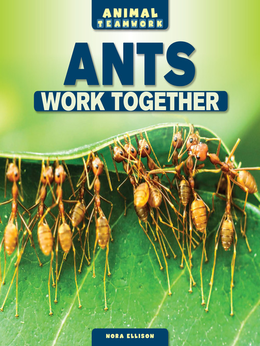 Cover image for Ants Work Together